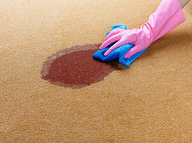 A gloved hand scrubbing a red stain on a carpet with a blue cloth.